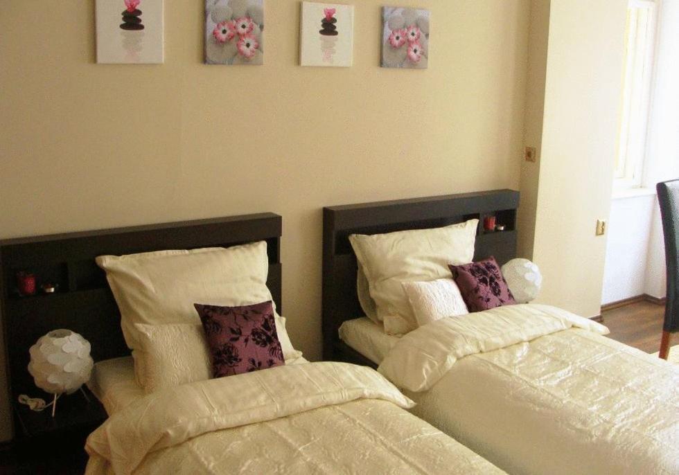 Hostel Sleep Well *